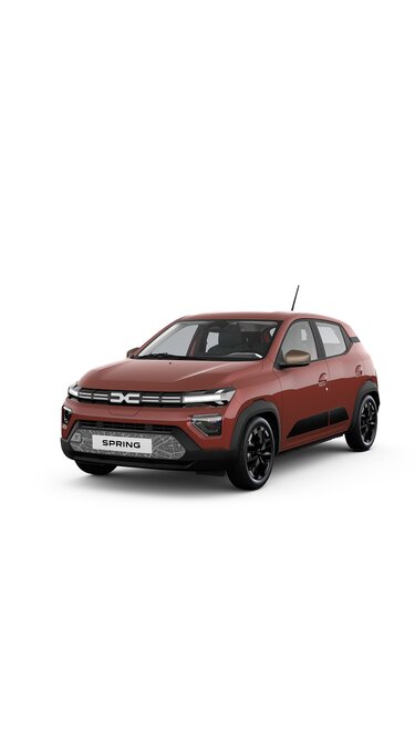 Offres pour les clients professionnels – Dacia